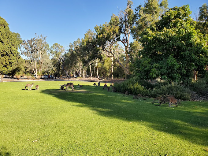 Yanchep National Park