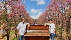 Flexi Day and Half Day Tour in Perth