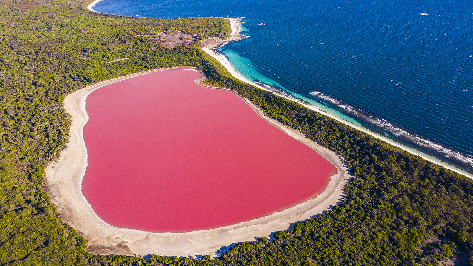 Pink-Lake