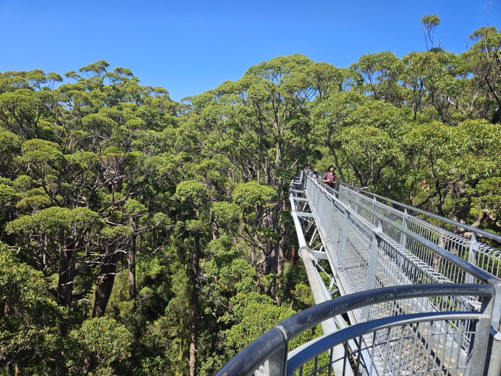 Gallery Thumbnail 11