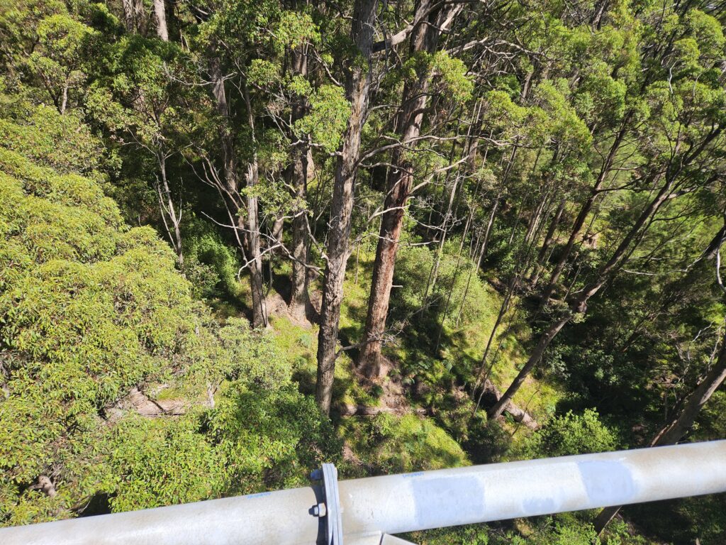 Gallery Thumbnail 10